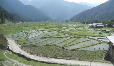 Leepa Valley - Thumbnail 4